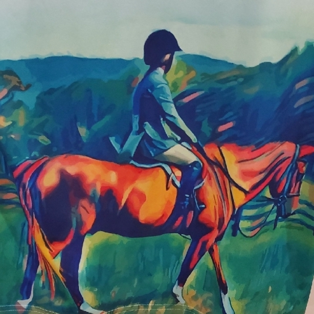 Noble Pony Equestrian Print Women's Jersey Top Small - Picture 7 of 7